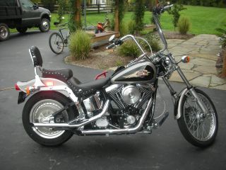 1997 Harley Davidson Softtail Custom photo