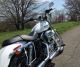 2005 Harley Sportster 1200 Custom Screaming Eagle Pipes Fwd Controls And More Sportster photo 2