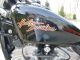 2002 Harley - Davidson Sportster Custom Sportster photo 8