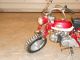 1969 Or 1970 Honda Z50 Mini Trail - And Ready To Ride Other photo 1