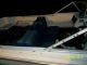 1976 Cobia 16 Ft Runabouts photo 2