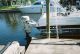 1995 Vip Pontoon / Deck Boats photo 3