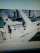 1992 Bayliner Ciera 2855 Cruisers photo 1