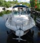 1996 Pro - Line 231 Wac Offshore Saltwater Fishing photo 2