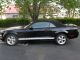 2008 Mustang Convertible With Mustang photo 4