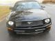 2008 Mustang Convertible With Mustang photo 6