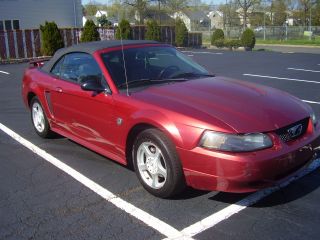 2004 Mustang photo