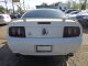 2007 Ford Mustang Gt Coupe 2 - Door 4.  6l Mustang photo 5