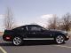 2008 Ford Mustang Sport Coupe With Pony Package Mustang photo 3