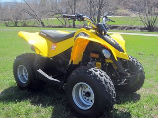 2010 Can Am Ds 90 photo