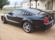 2008 Ford Mustang Gt Coupe 2 - Door 4.  6l Mustang photo 5
