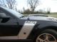 2008 Ford Mustang Gt Coupe 2 - Door 4.  6l Mustang photo 6