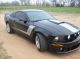 2008 Ford Mustang Gt Coupe 2 - Door 4.  6l Mustang photo 7