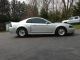 2003 Ford Mustang Svt Cobra 10th Anniversary Coupe Whipple Built Motor Auto Mustang photo 3