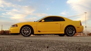 2004 Ford Mustang Svt Cobra Coupe 2 - Door 4.  6l photo