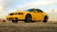 2004 Ford Mustang Svt Cobra Coupe 2 - Door 4.  6l Mustang photo 2