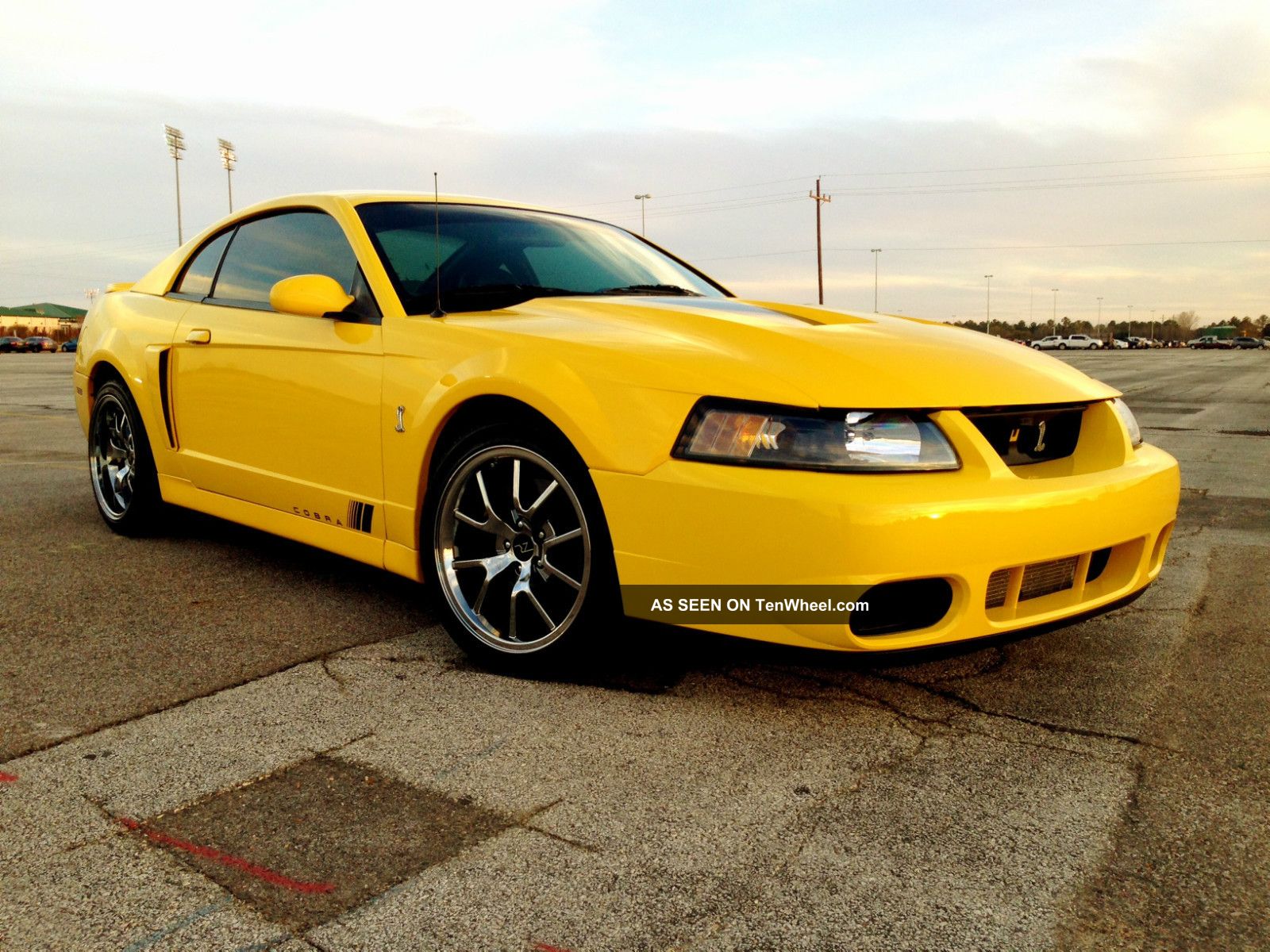 2004 Ford Mustang Svt Cobra Coupe 2 - Door 4. 6l