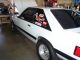 1991 Ford Mustang 5.  0 Lx Supercharged Mustang photo 4
