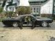 1966 Lincoln Continental Convertible With Suicide Doors Continental photo 1