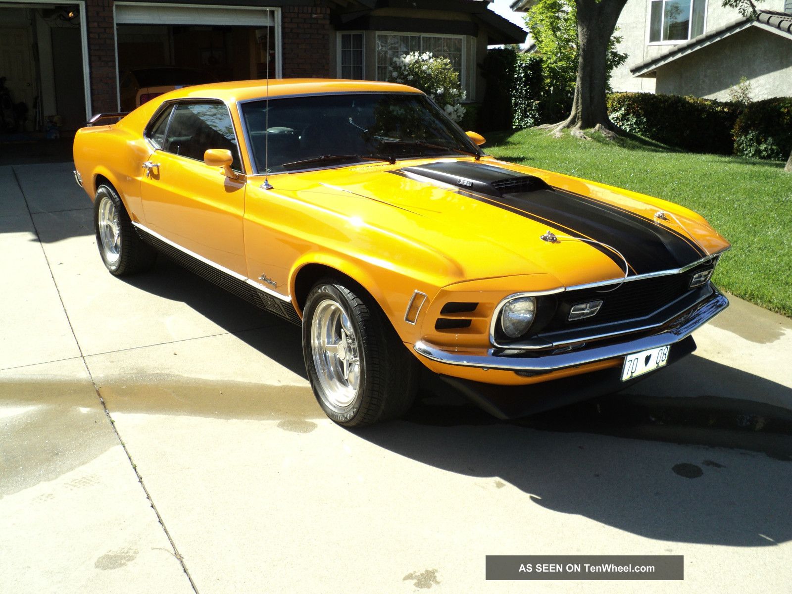 1970 Mustang Mach 1 - Fastback - 4 - Speed - Total Restoration Mustang photo