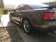 2003 Ford Mustang Mach I Mustang photo 2