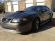 2003 Ford Mustang Mach I Mustang photo 6