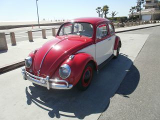1961 Volkswagen Bug photo