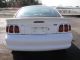 1998 Ford Mustang Cobra Garage - Kept,  Non - Smoker,  Never Wrecked,  100% Orig Paint Mustang photo 3