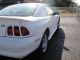 1998 Ford Mustang Cobra Garage - Kept,  Non - Smoker,  Never Wrecked,  100% Orig Paint Mustang photo 6