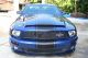 2008 Ford Mustang Shelby Gt500 Snake 427 Edition Mustang photo 4