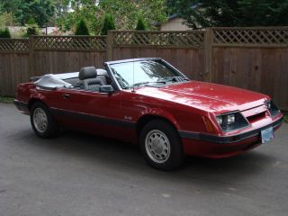 1985 Ford Mustang Lx Convertible With 5.  0 (302) photo