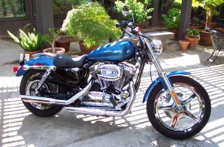 2005 Harley Davidson Sportster Xl 1200 Custom photo