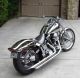 1998 Hd Fxstc Softail Custom Completely Chrome Absolutely Stunning Show Bike Softail photo 1