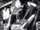 1998 Hd Fxstc Softail Custom Completely Chrome Absolutely Stunning Show Bike Softail photo 6