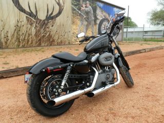 2009 Harley - Davidson Nightster photo