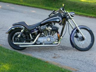 1997 Custom Built Harley - Davidson Sportster photo