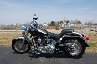 2005 Harley Davidson Fatboy (1 Of 200 With Custom Paint From Factory) photo