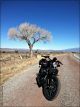 2011 Harley Davidson Sportster 883 Iron Murdered Sportster photo 10