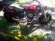 1998 Harley Davidson Confederate American Gt Other photo 6
