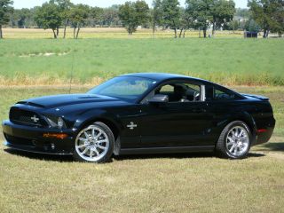 2008 Ford Mustang Shelby Gt500 Kr 82 photo