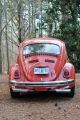 1971 Volkswagen Beetle Base 1.  6l Beetle - Classic photo 2