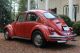 1971 Volkswagen Beetle Base 1.  6l Beetle - Classic photo 4