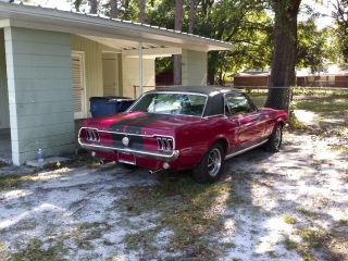 1968 Mustang Coupe 1967 Driver photo