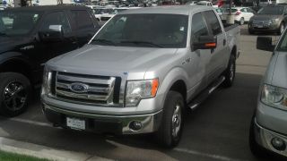 2010 Ford F - 150 Xlt Crew Cab Pickup 4 - Door 5.  4l (extended Included) photo