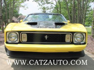 1973 Mustang 351 Convertible photo