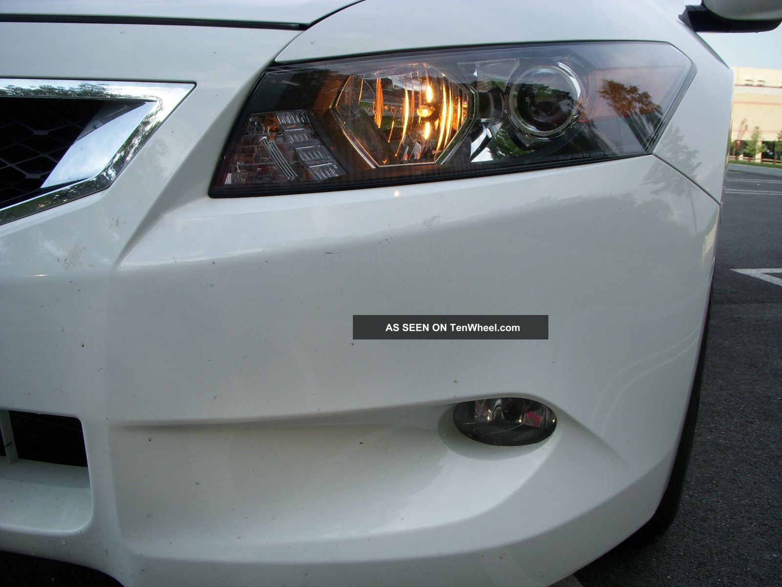 2009 Honda Accord Coupe 6 Cyl Ex - L White With Tan Interior