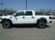 2013 Ford F - 150 Svt Raptor 4door Loaded Fresh Off The Delivery Truck F-150 photo 8