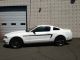 2011 Ford Mustang Coupe V6 Premium Mustang Club Of America Edition 6 Speed Mca Mustang photo 1