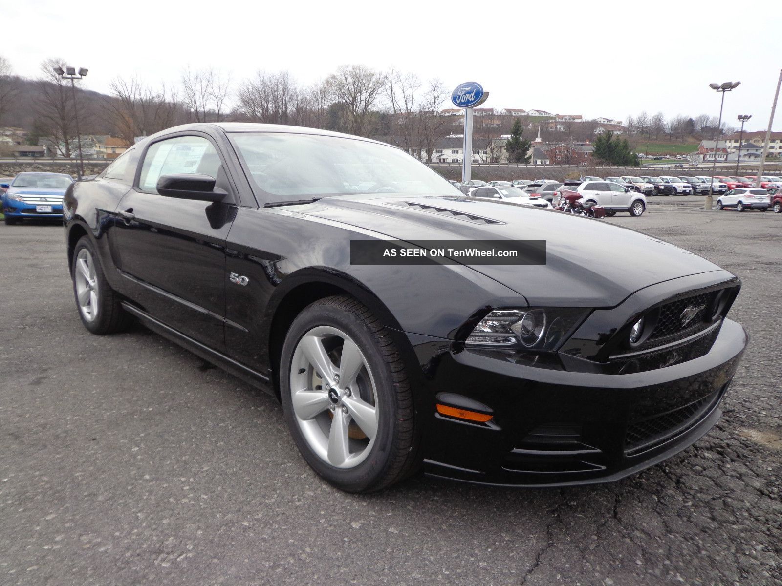2014 Mustang Gt Coupe Premium 5.  0l V8 Manual Black Comfort Package Mustang photo