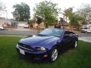 2013 Ford Mustang Conv photo